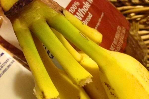 Bananes avec tiges enveloppées pour mieux les conserver.