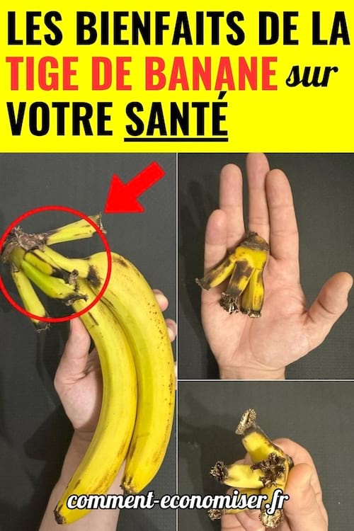 des tiges de bananes et leurs bienfaits