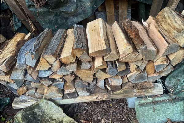 Bûches de bois rangées sous un abri avec bâche verte.