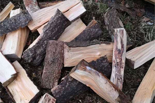 Morceaux de bois fraîchement coupés éparpillés sur le sol.