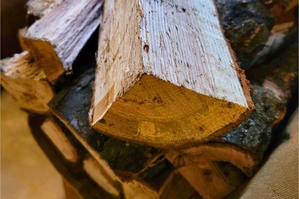 Vue rapprochée de bûches montrant les fibres et la texture du bois.