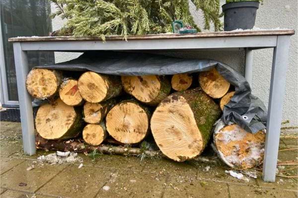 Gros troncs de bois rangés sous une table protégée par une bâche.