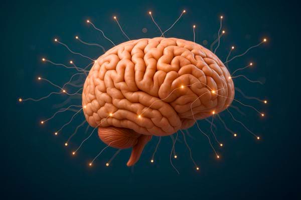 Un cerveau humain lumineux illustré avec des connexions nerveuses actives.