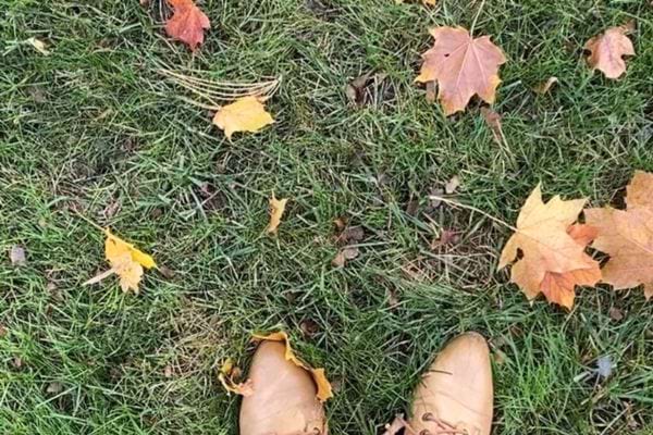Chaussures marron sur de l’herbe parsemée de feuilles d’automne.