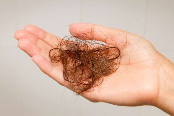 Cheveux tenu dans une main.