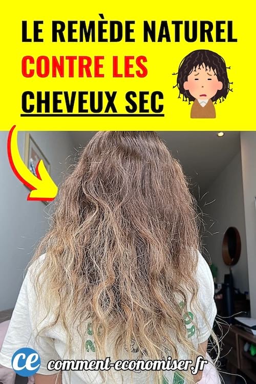Femme aux cheveux secs et frisés vue de dos.