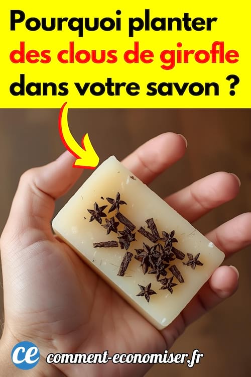 Un pain de savon dans lequel on a planté des clous de girofle