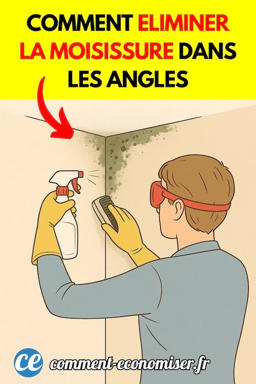 astuce pour éliminer la moisissure dans les angles