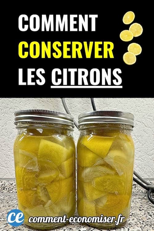 Deux bocaux remplis de citrons conservés dans un liquide sur un plan de travail de cuisine.