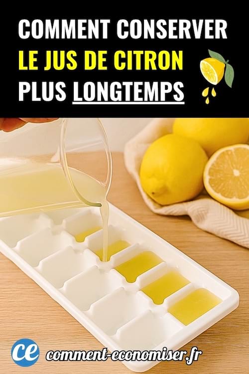 Main versant du jus de citron dans un bac à glaçons sur une table en bois claire.