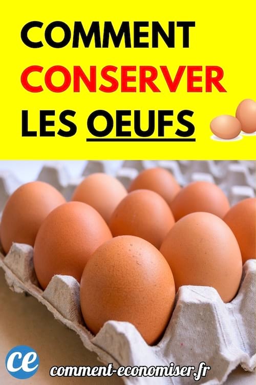 Boîte en carton contenant plusieurs œufs bruns alignés.