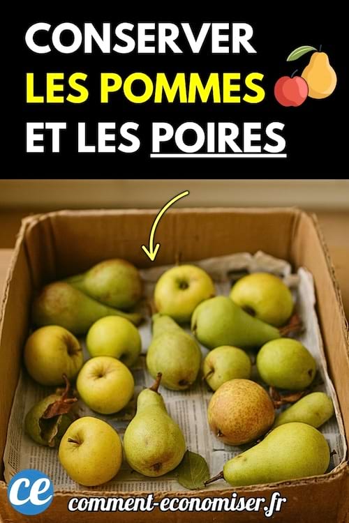 Pommes et poires rangées dans une boîte en carton sur du papier journal.