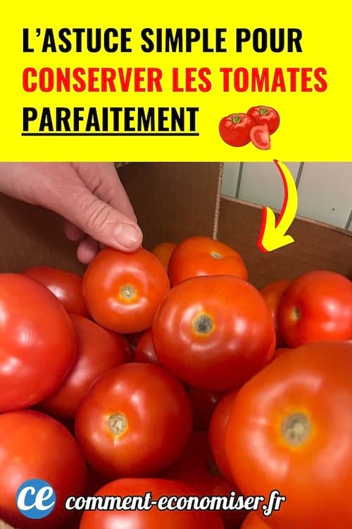 Main prenant une tomate parmi plusieurs dans une boîte en carton.