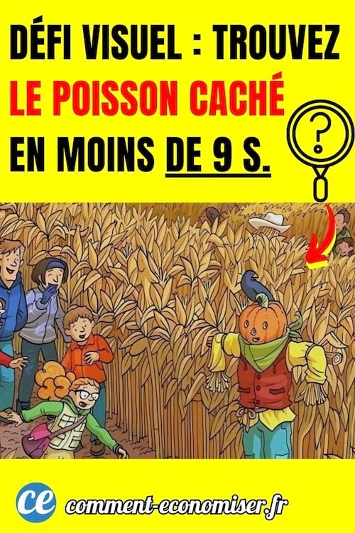 défi visuel pour trouver un poisson caché dans une image en 9s
