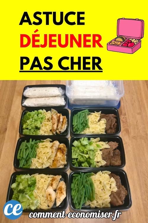 Repas équilibrés dans des boîtes repas avec légumes et pâtes.