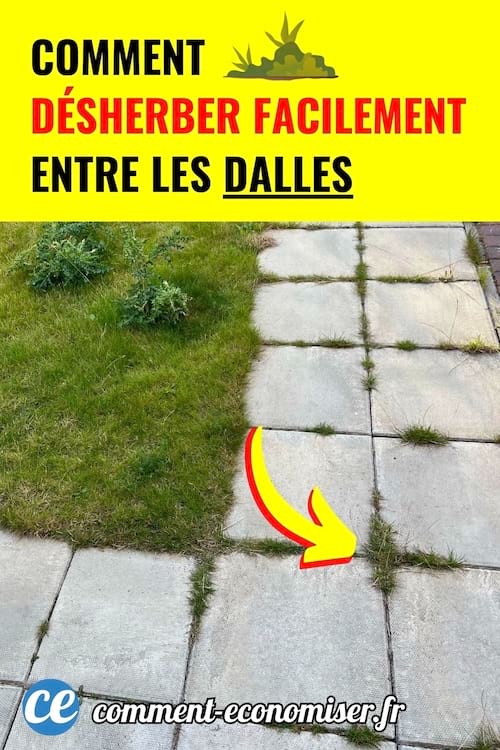 Allée en dalles grises avec de l’herbe poussant entre les joints.