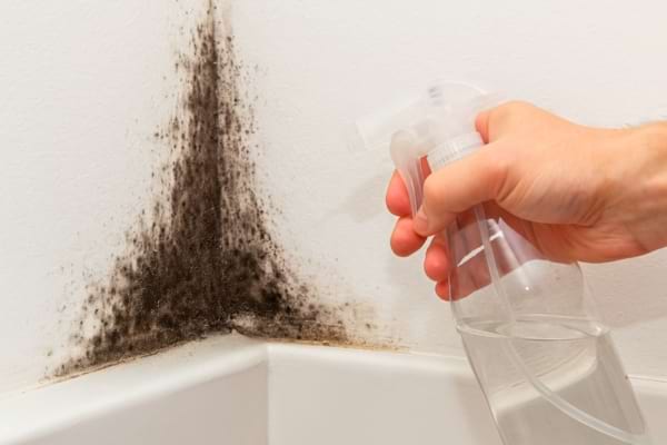 une main vaporisant du vinaigre blanc sur un mur moisi