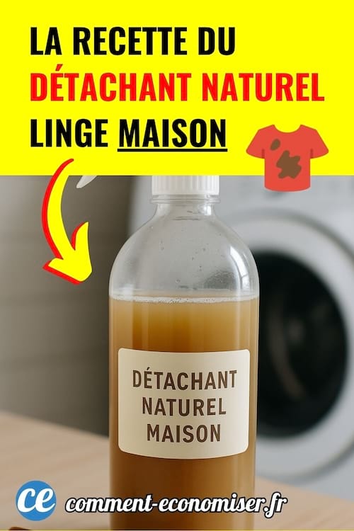 Bouteille transparente remplie de détachant naturel maison devant une machine à laver.