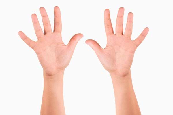Deux mains ouvertes levées sur fond blanc