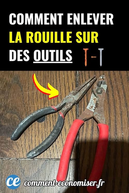 Deux pinces rouillées posées sur un sol en bois.