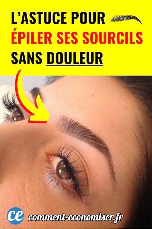 Gros plan sur un œil de femme avec des sourcils parfaitement épilés.
