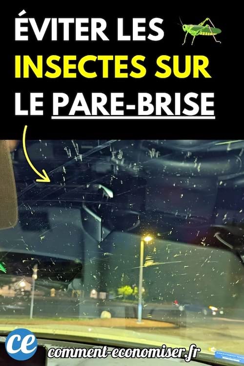 Pare-brise de voiture couvert d’insectes écrasés la nuit.