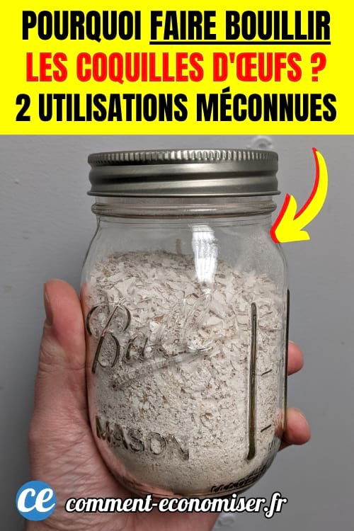 Un main qui tient un bocal rempli de coquilles d'œufs bouillies et broyées