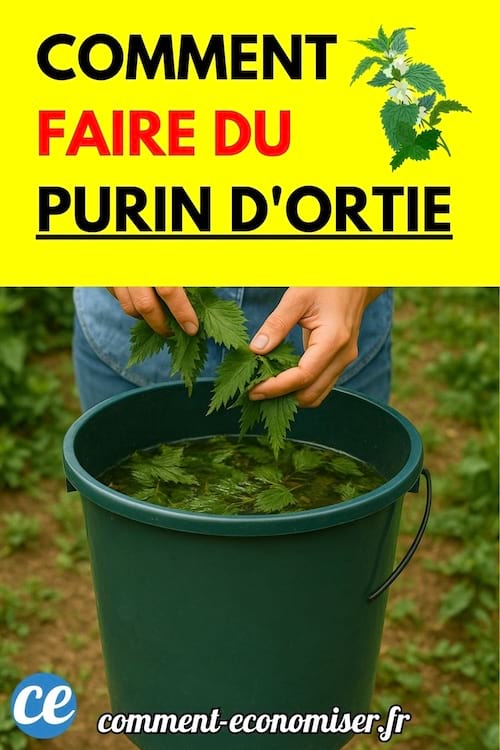 Mains plongeant des feuilles d’ortie fraîches dans un seau vert rempli d’eau.