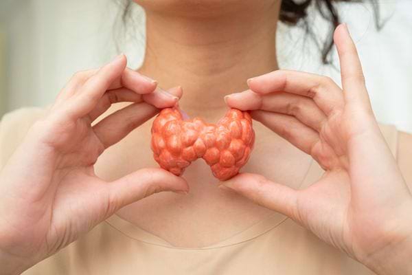 Une femme tient une représentation anatomique orange de la glande thyroïde.