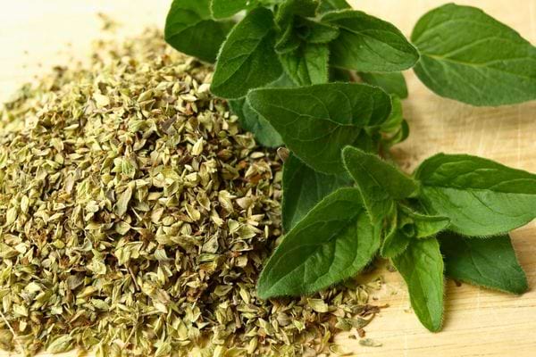 Des feuilles fraîches et séchées d’origan disposées sur une planche en bois.