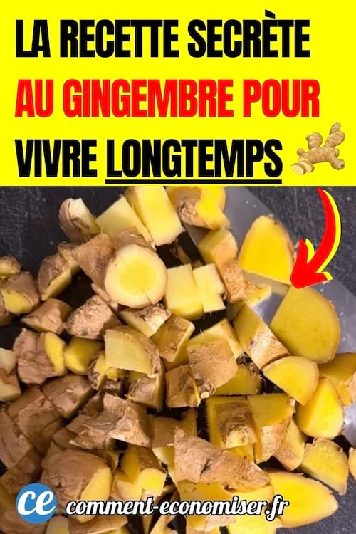 du gingembre coupé en morceaux