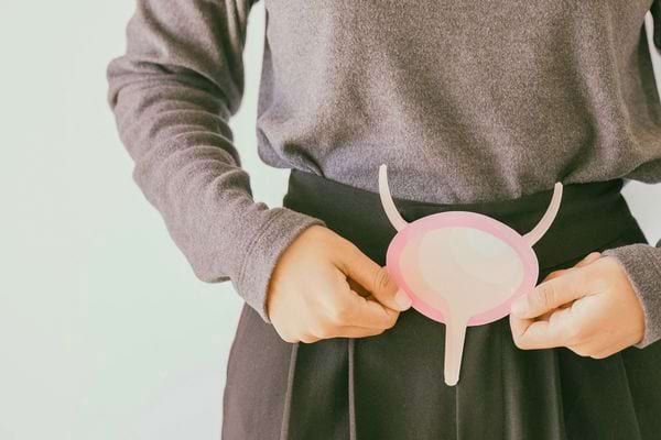 Personne tenant une illustration de la vessie féminine.