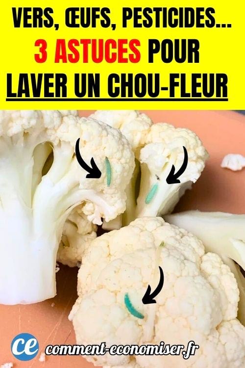 Des fleurons de chou-fleur infestés d'insectes