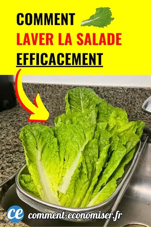 Feuilles de salade verte dans une passoire en inox au-dessus d’un évier.