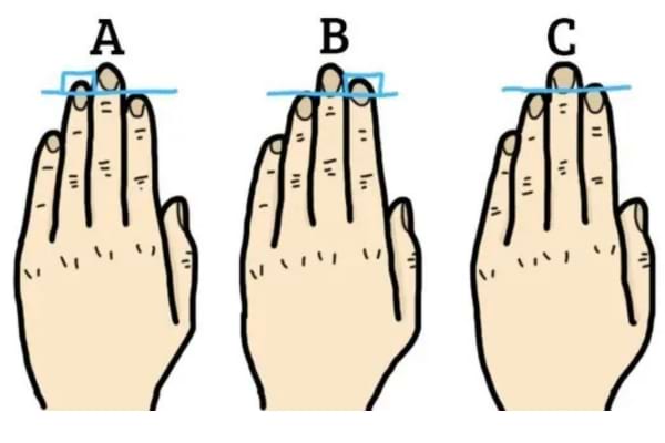 La longueur des doigts de la main