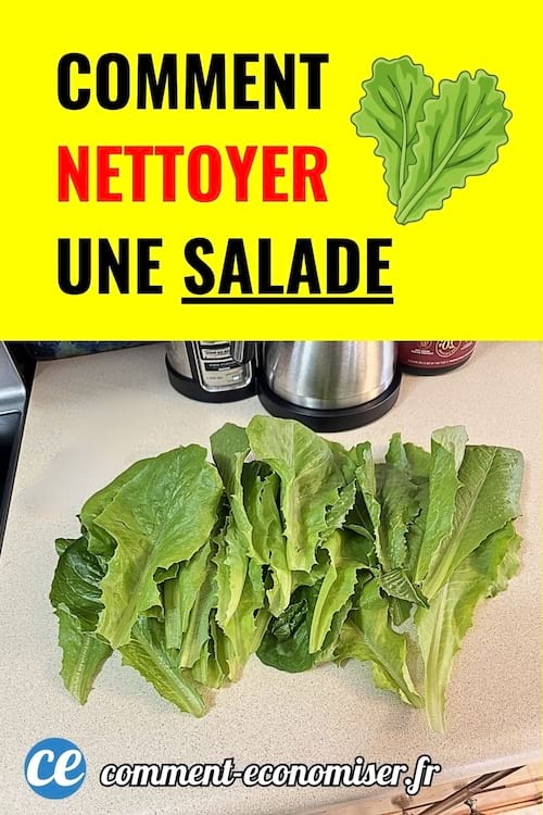Feuilles de laitue verte fraîches sur un plan de travail de cuisine.
