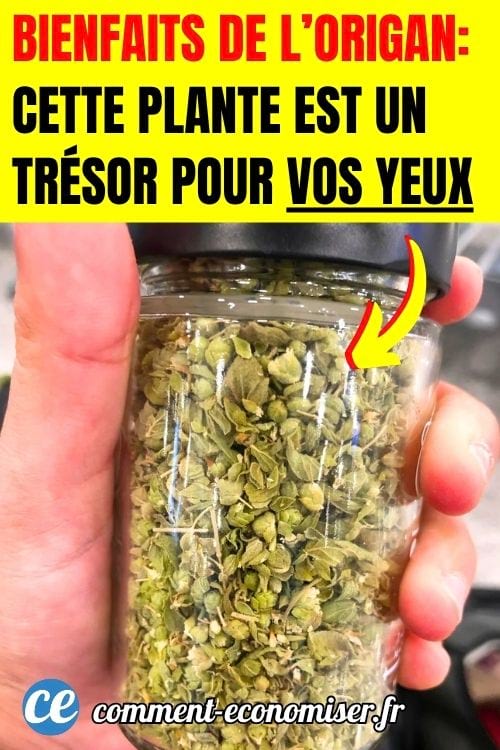 Une main qui tient un bocal rempli de feuilles fraîches d'origan