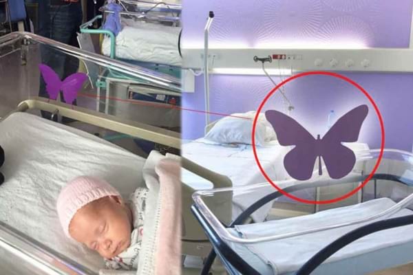 un papillon violet sur un berceau transparent dans une maternité