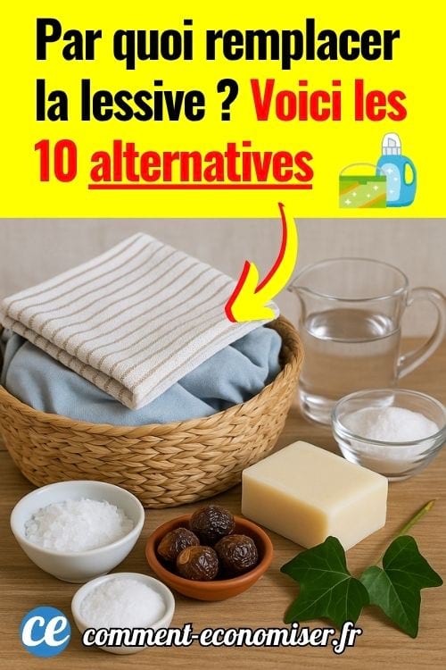 Des cristaux de soude, du lierre, des noix de lavage, du savon de marseille et du lierre à côté de linge propre