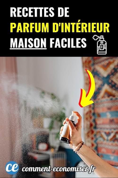 Main vaporisant un spray d’intérieur dans une pièce.