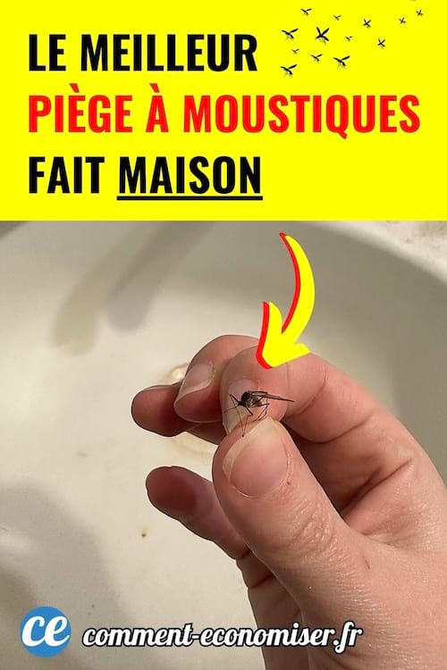 Main tenant un moustique attrapé entre deux doigts au-dessus d’un lavabo.