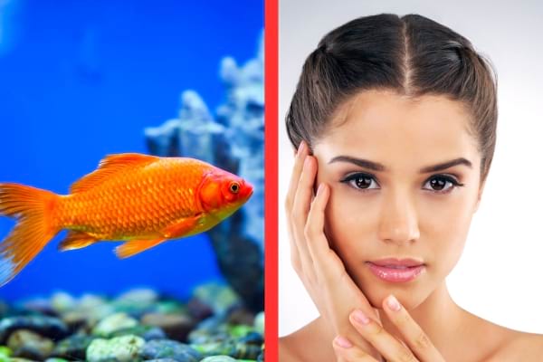 Un poisson orange nage dans un aquarium à côté d’une femme touchant délicatement sa joue.