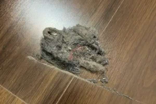 Un amas de poussière et de saletés est posé sur un sol en bois brun.