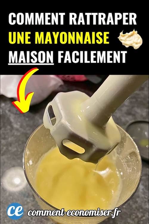 Mixeur plongeant dans un verre de mayonnaise liquide à rattraper.
