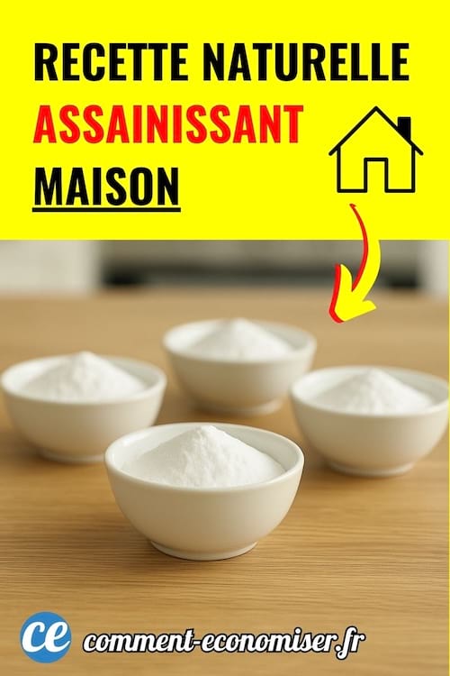 Petits bols remplis de poudre blanche sur une table, fond jaune avec texte noir et rouge.