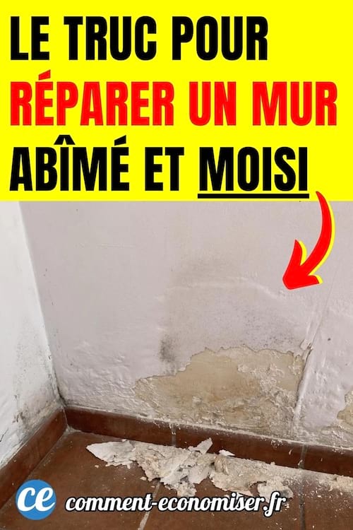 un mur moisi et abimé avec la peinture qui se décolle