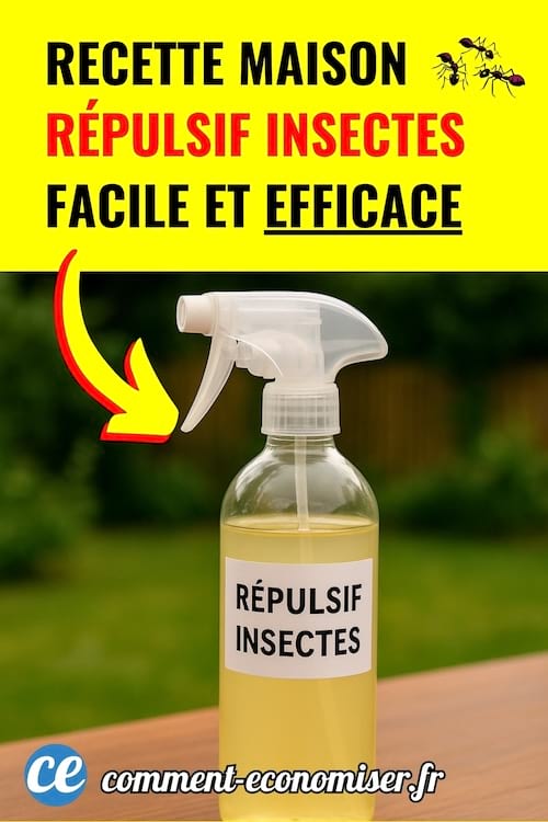 Pulvérisateur transparent étiqueté "répulsif insectes" posé sur une table en bois.