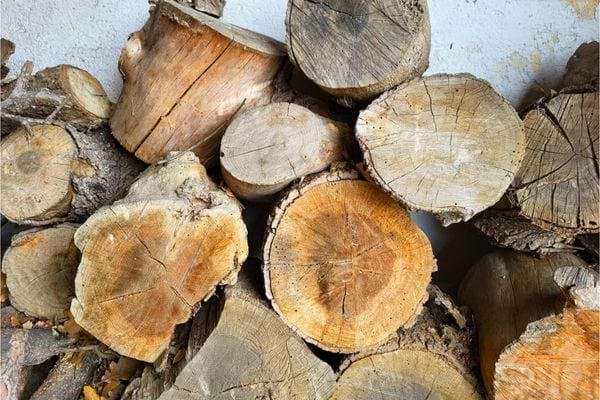Rondins de bois empilés contre un mur dans un espace de stockage.