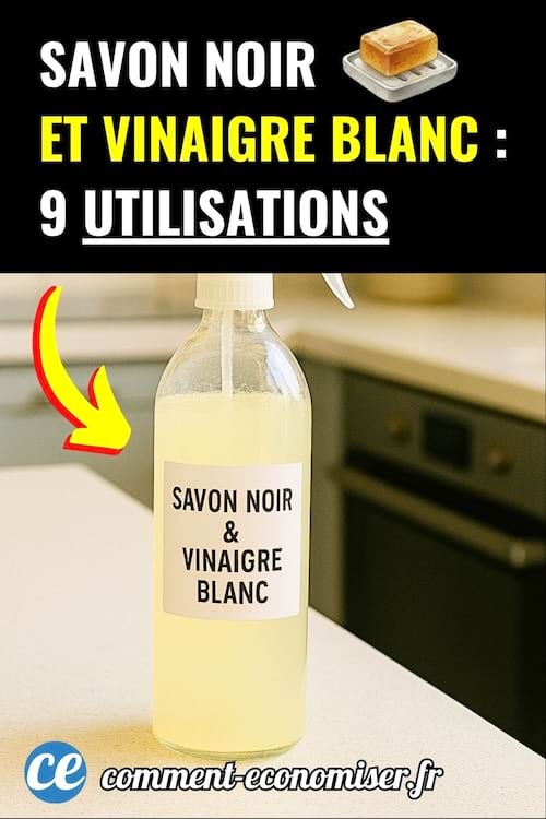 Bouteille de savon noir et vinaigre blanc posée sur un plan de travail de cuisine.