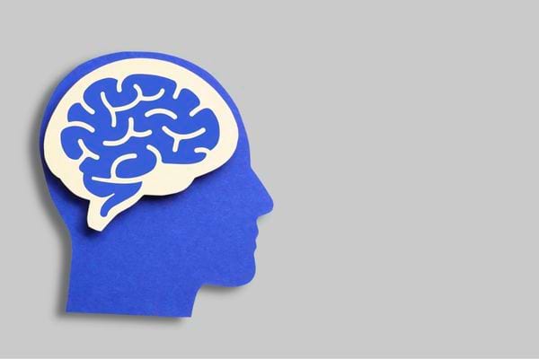 Une silhouette bleue de tête humaine montre un cerveau stylisé clair sur fond gris.